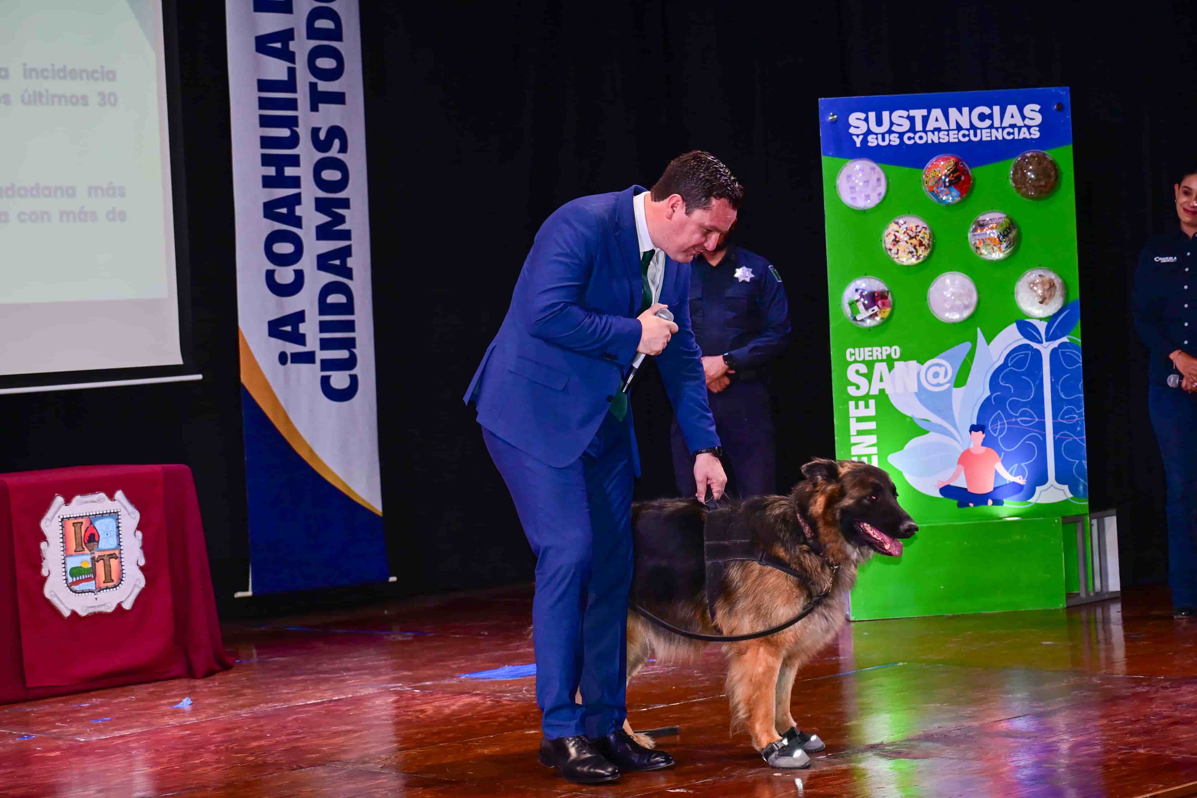 Imagen 5 de artículo