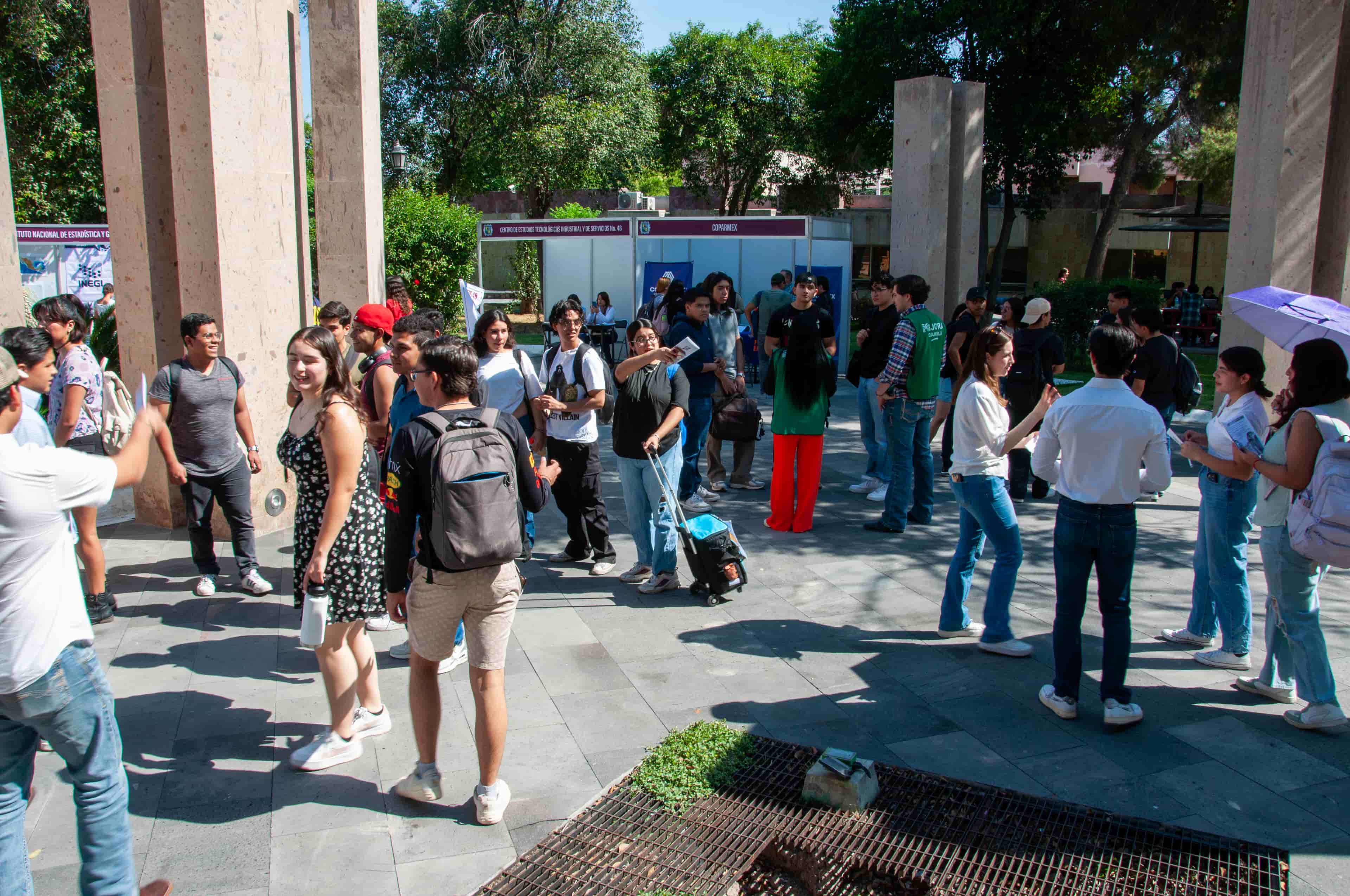 Imagen 8 de artículo