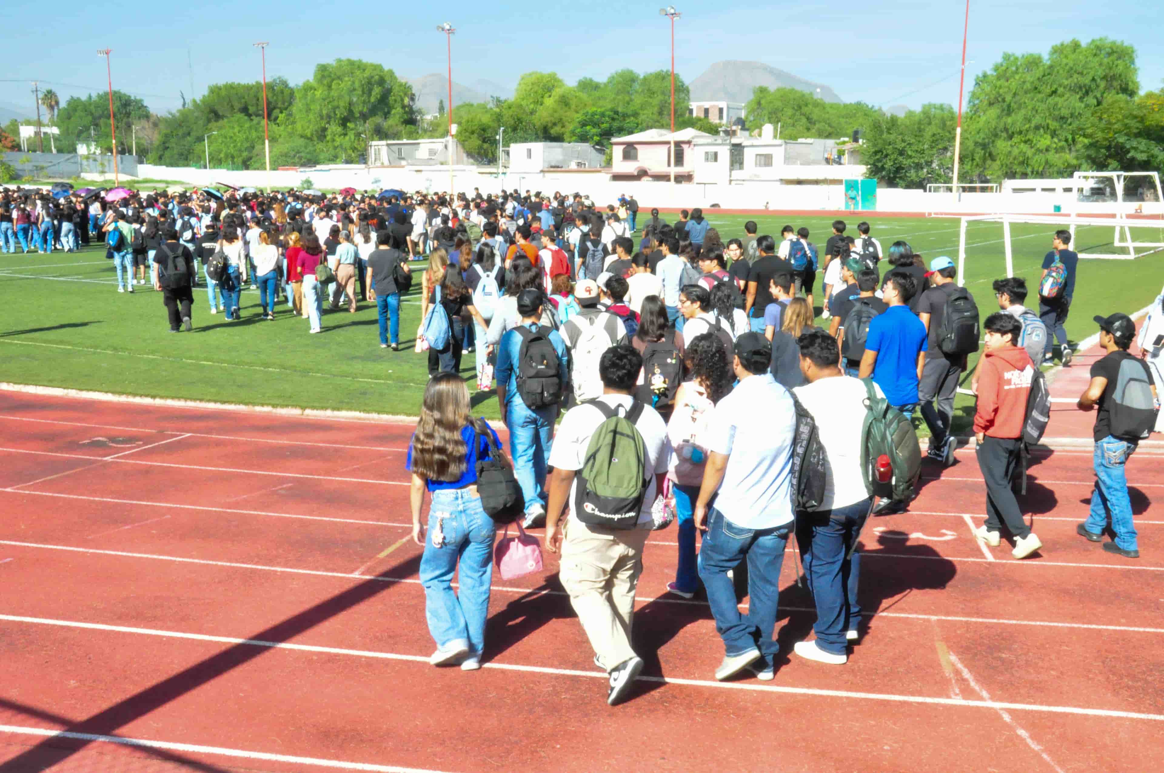 Imagen 10 de artículo
