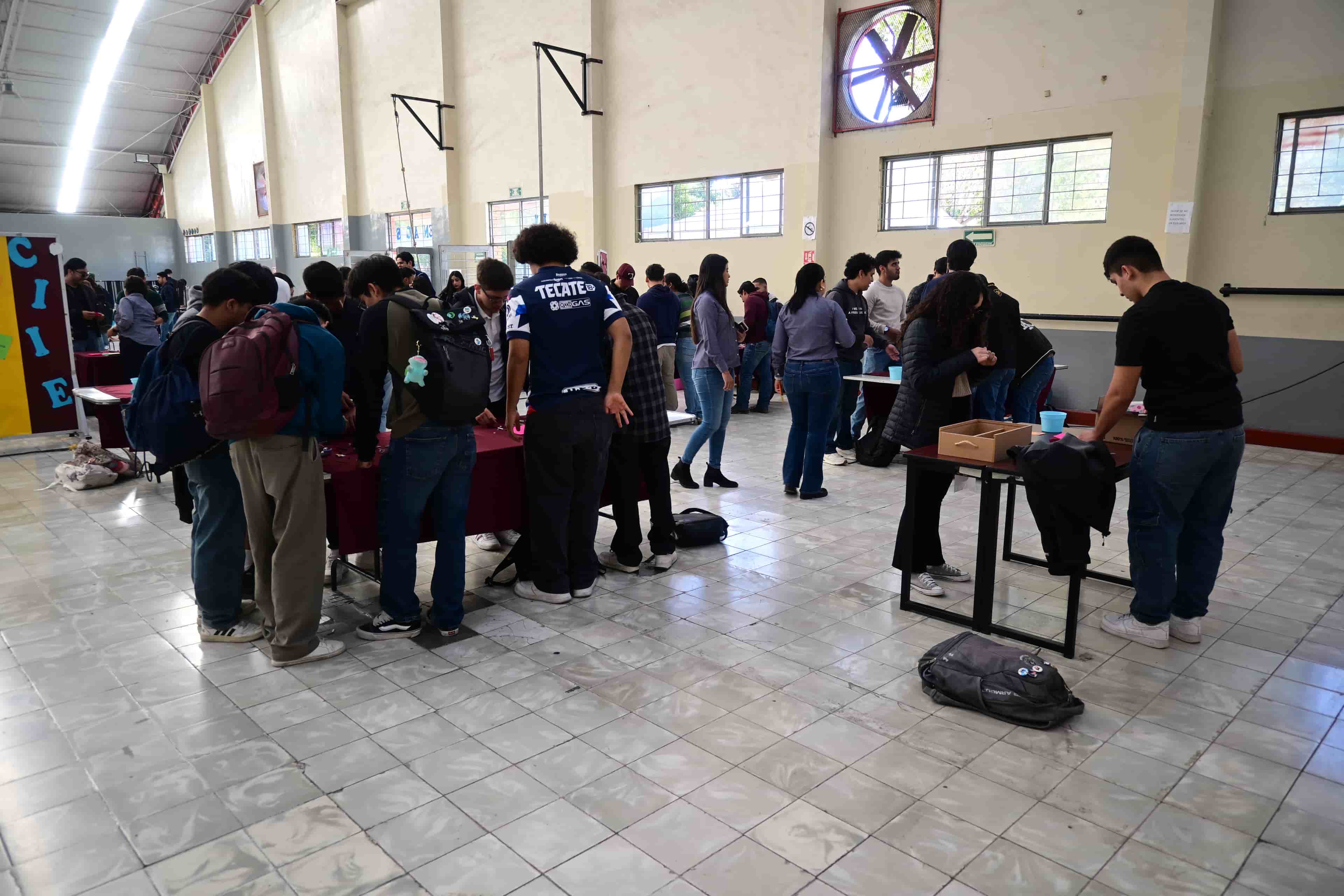 Imagen 12 de artículo