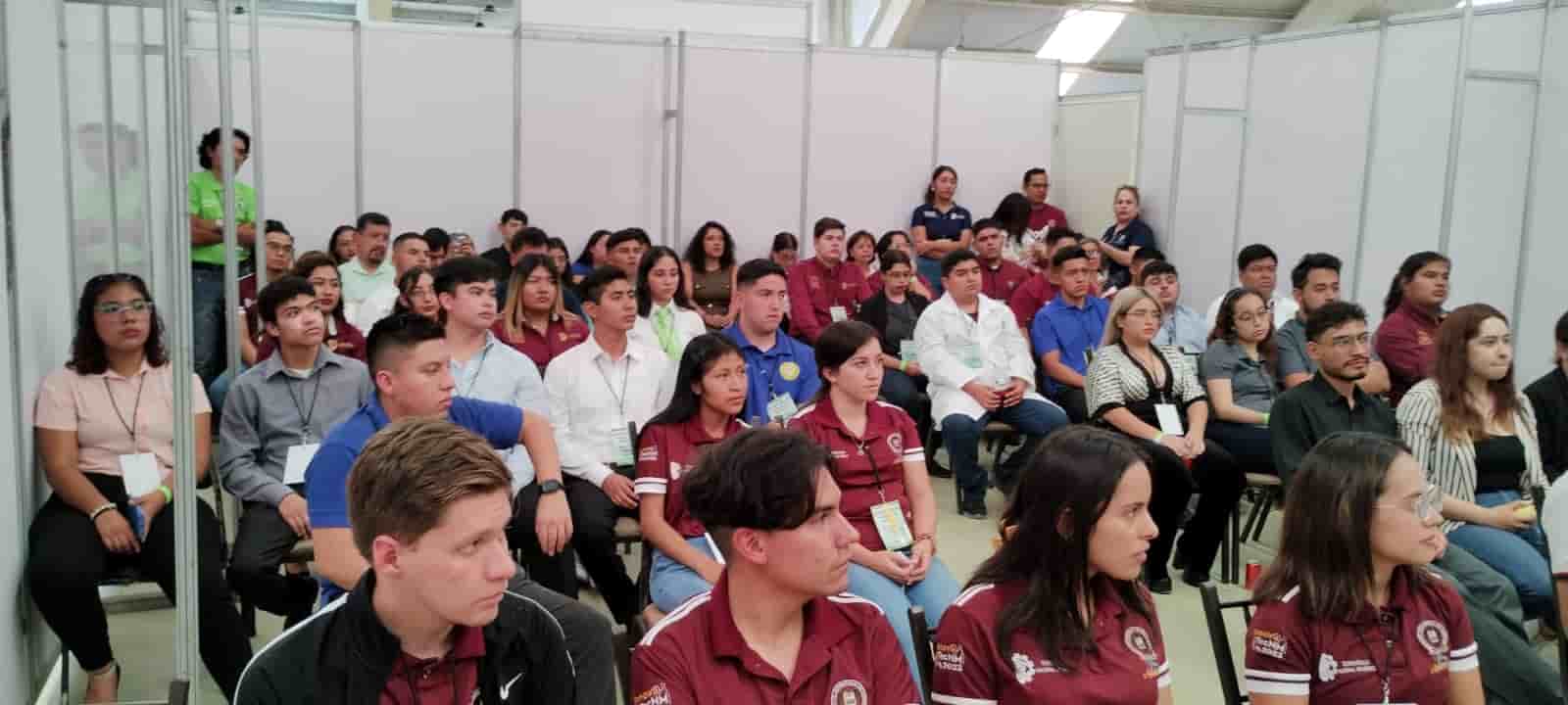 Imagen 3 de artículo