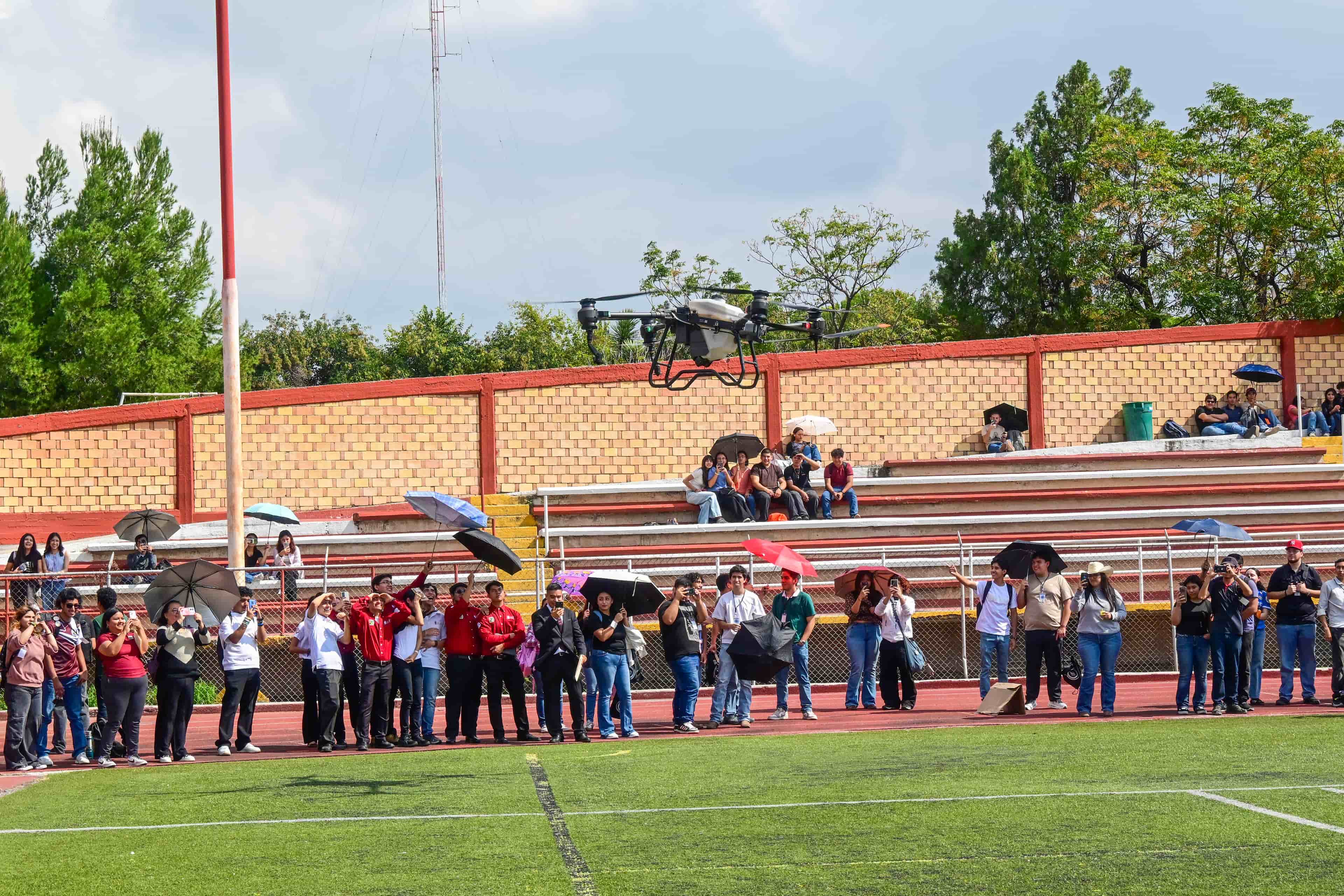 Imagen 14 de artículo