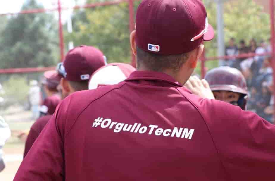 Imagen 10 de artículo