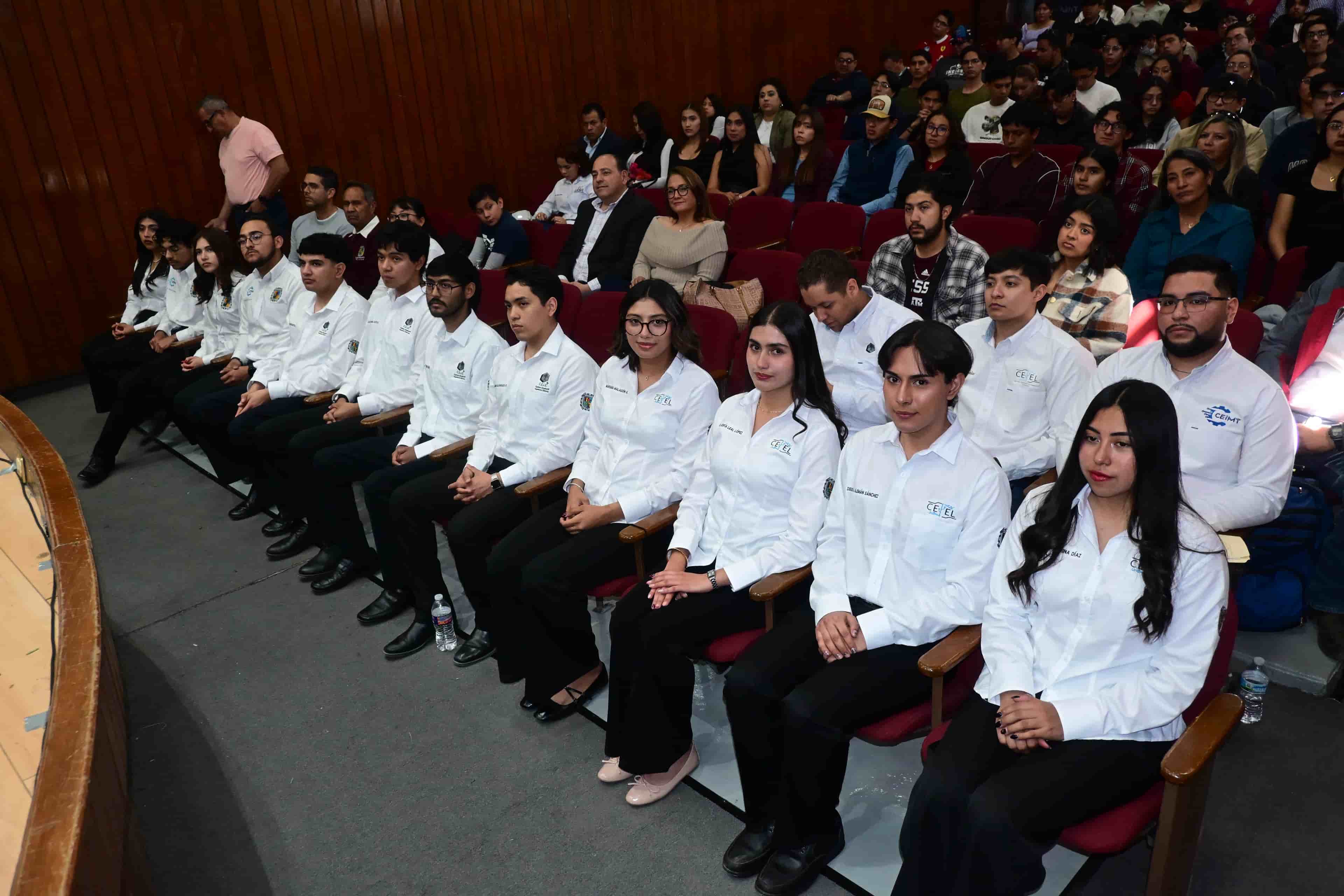 Imagen 4 de artículo