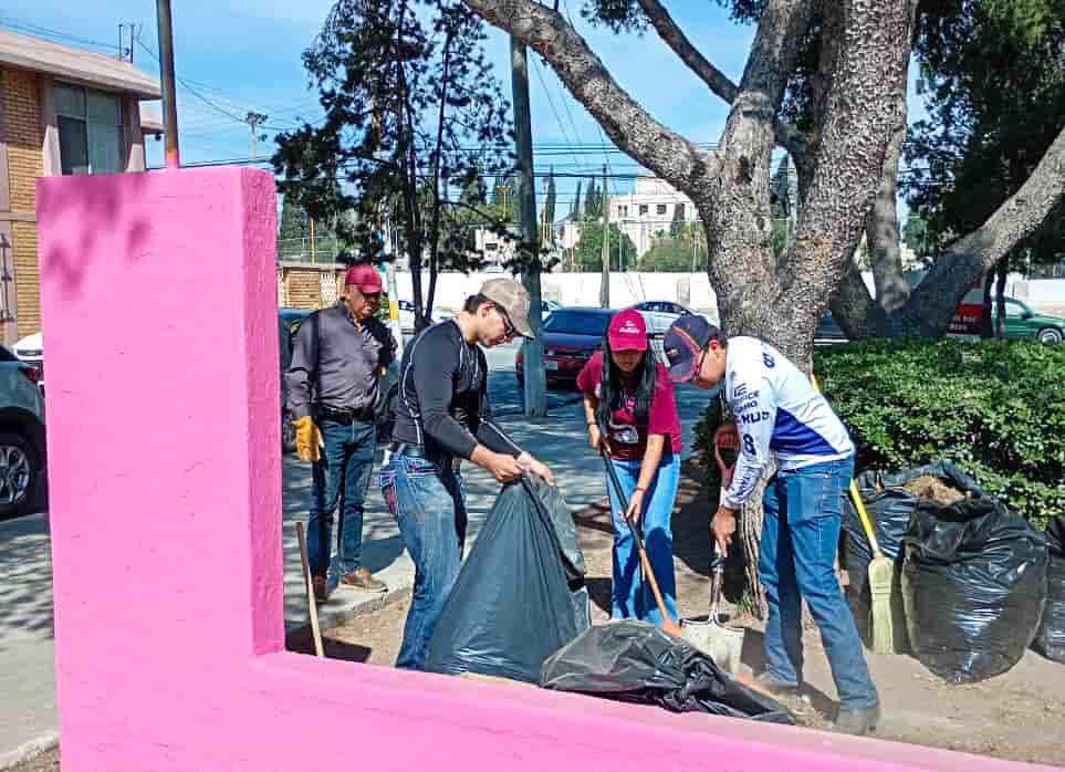 Imagen 7 de artículo
