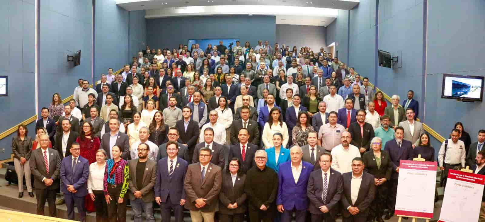 Imagen 6 de artículo