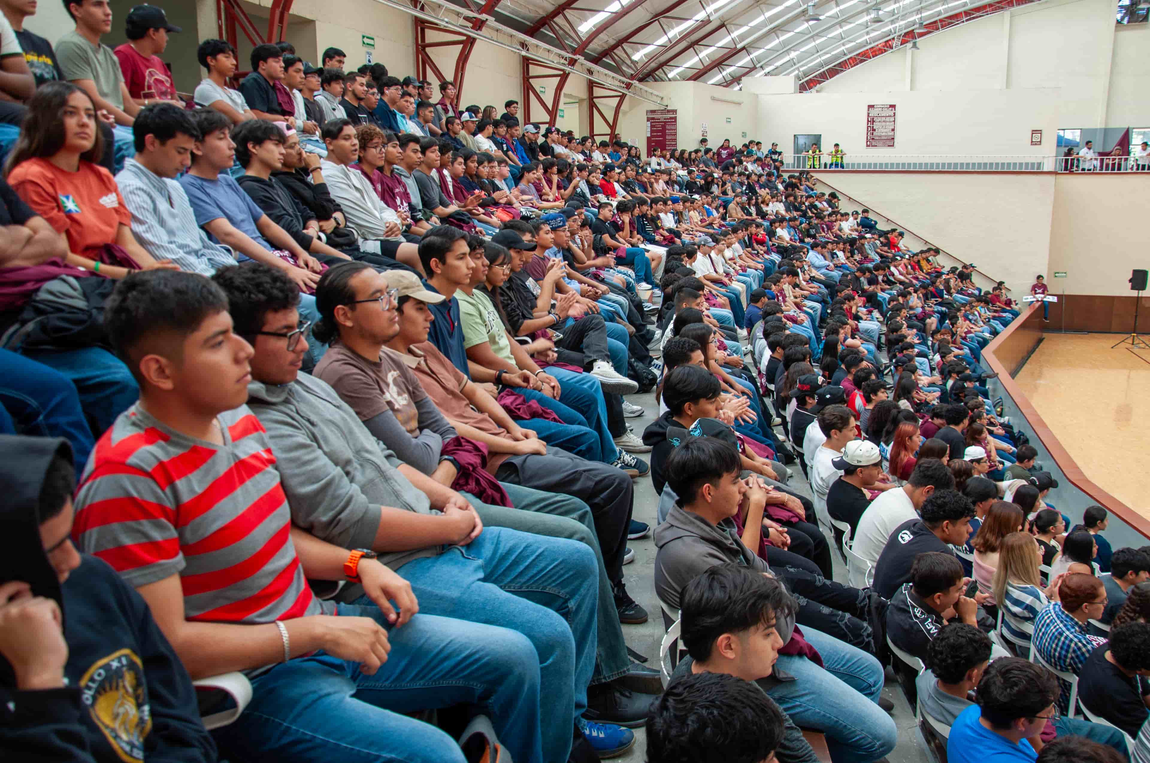 Imagen 6 de artículo