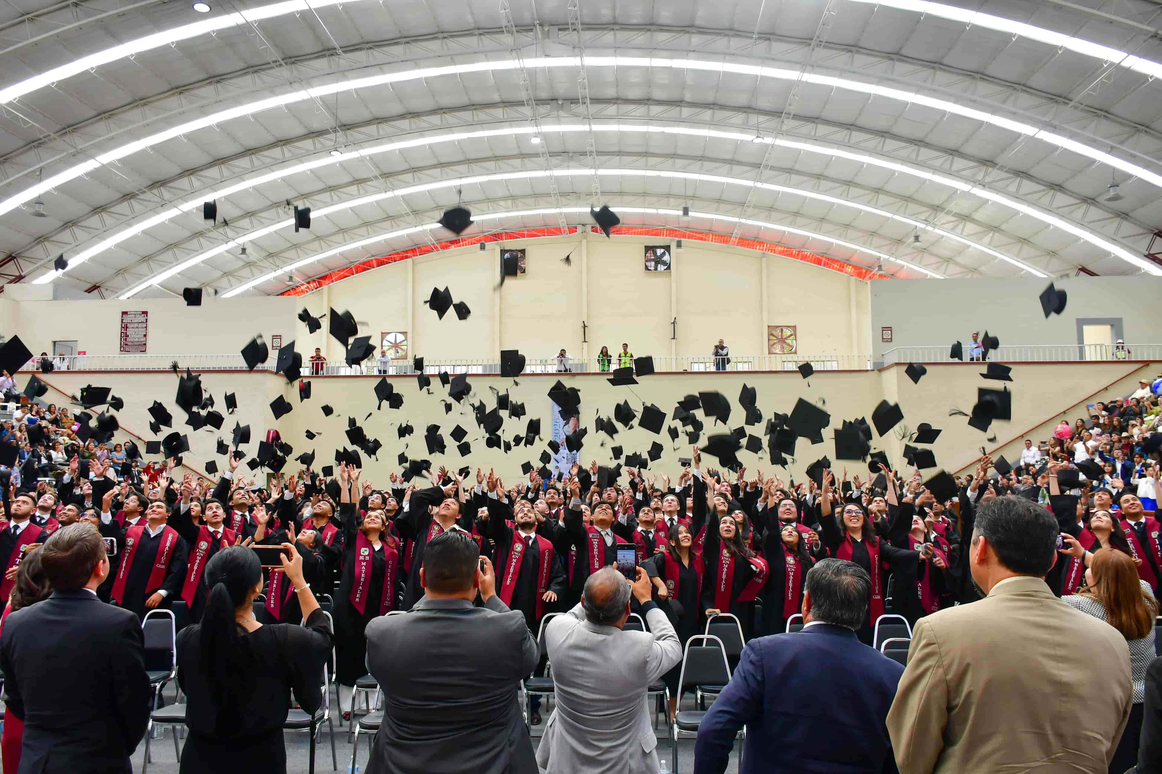 Imagen 16 de artículo