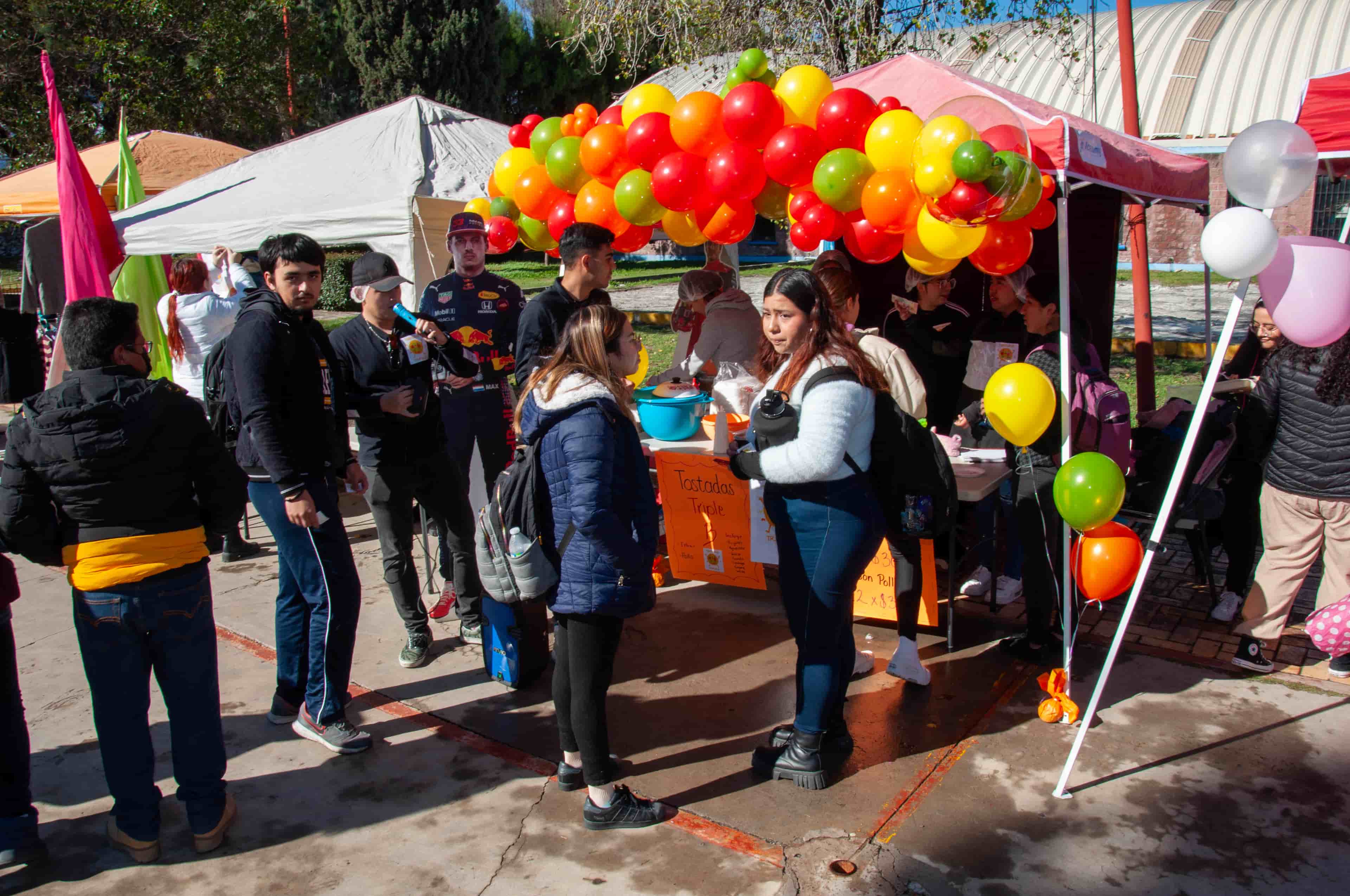 Imagen 4 de artículo
