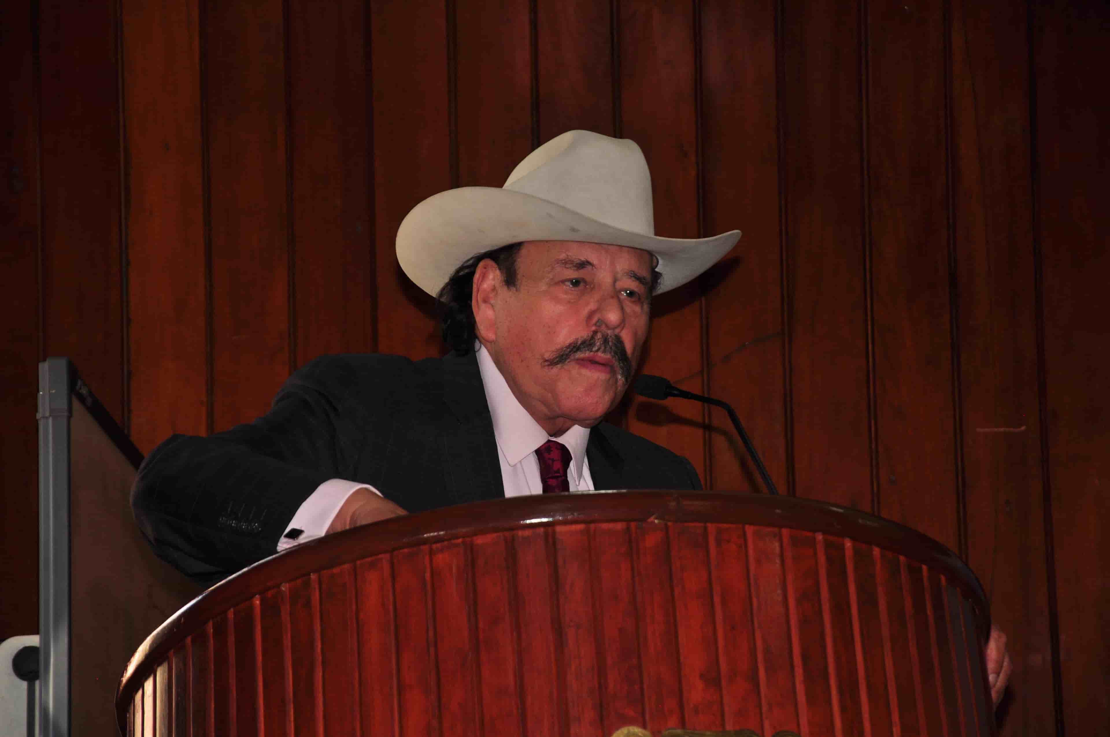 Imagen 4 de artículo