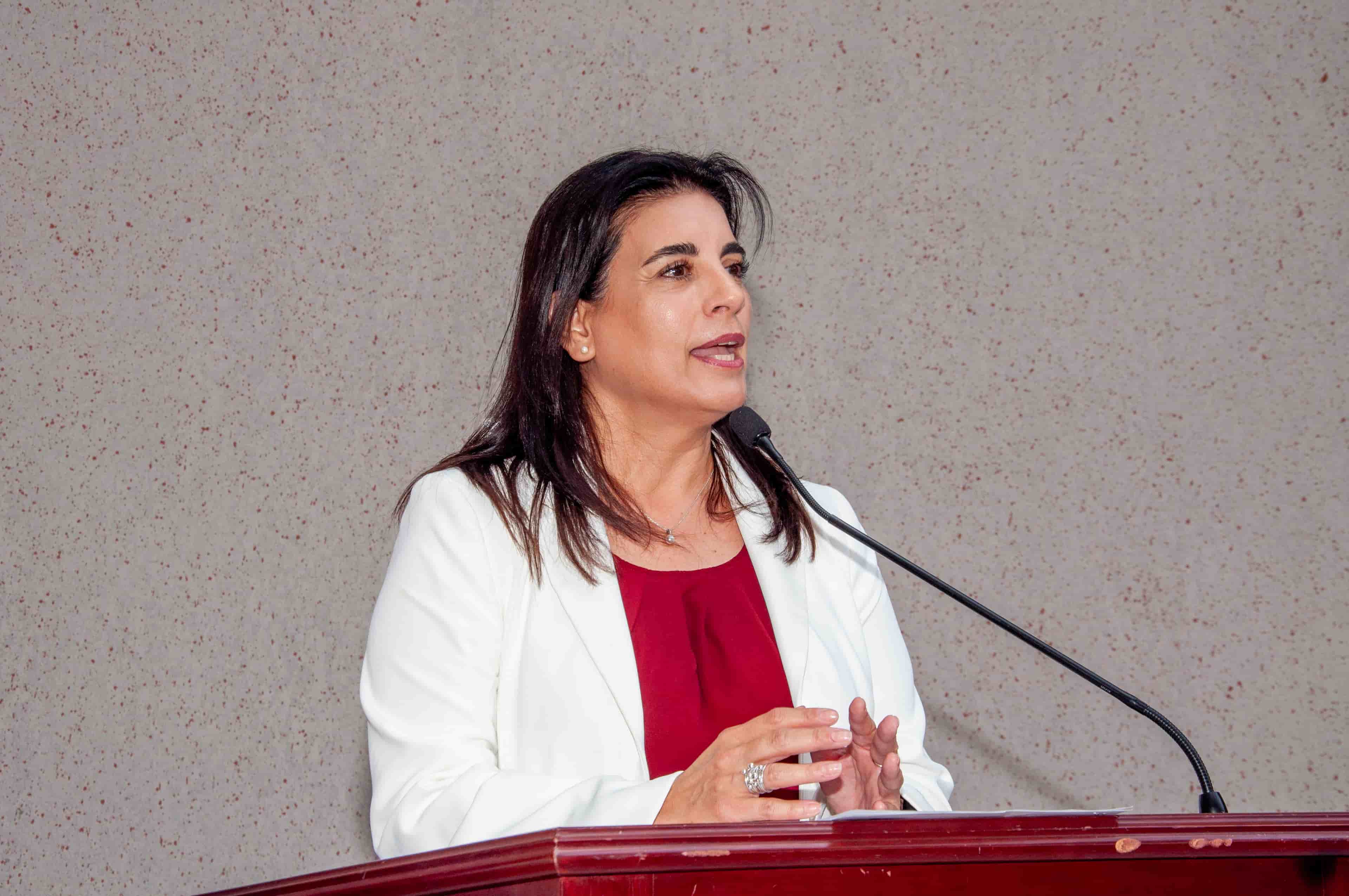Imagen 3 de artículo