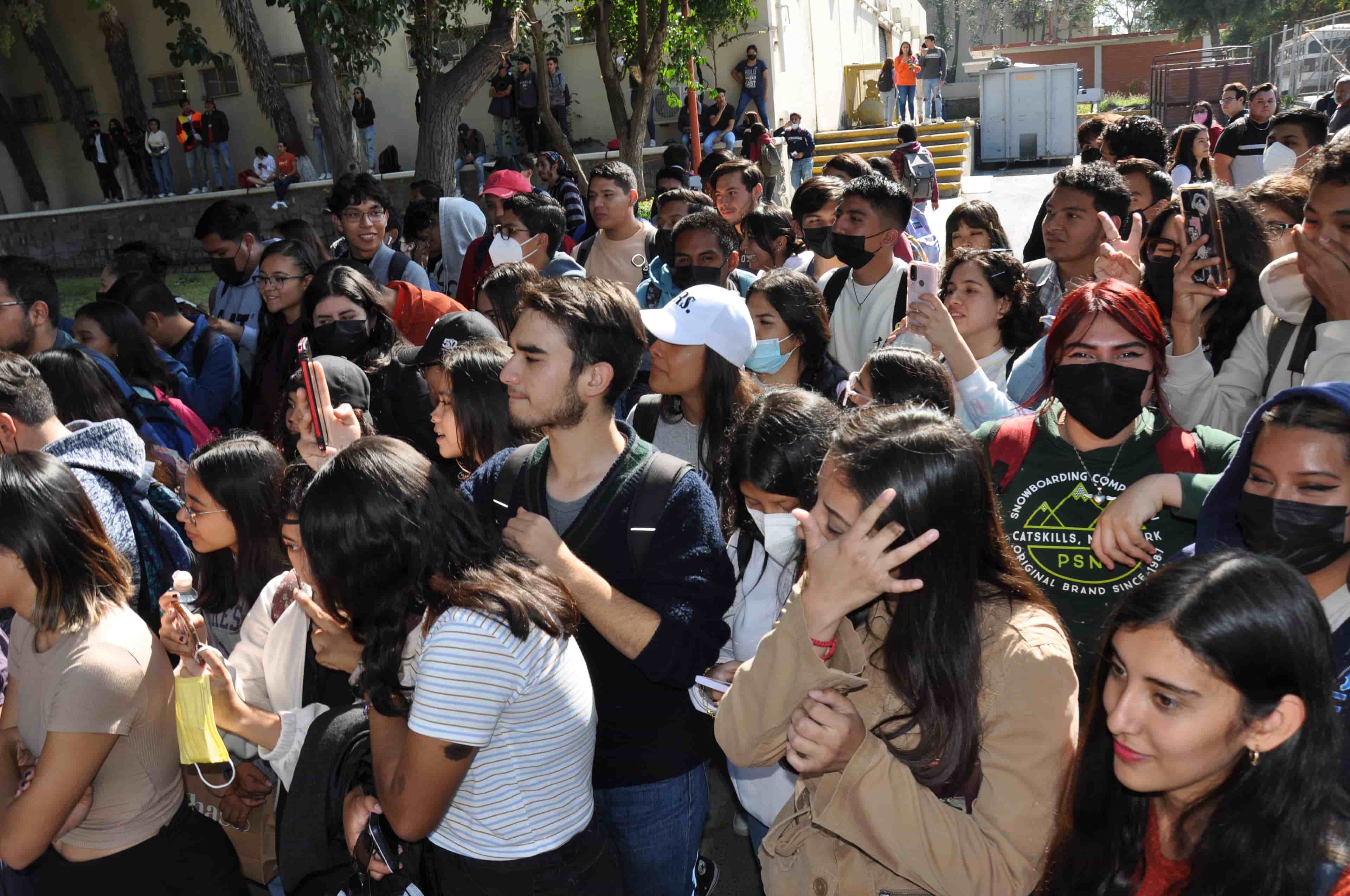 Imagen 13 de artículo