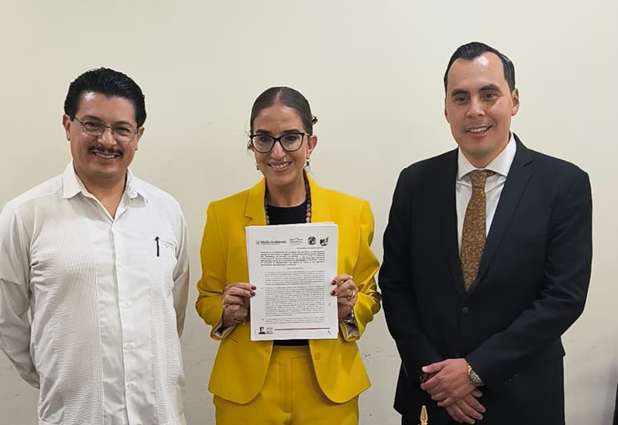 Imagen principal de artículo